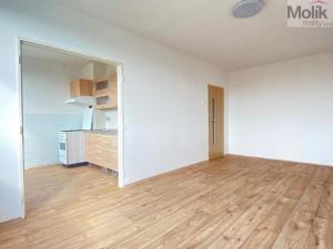 Prodej bytu 1+1, Most, Javorová, 35 m2