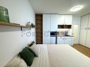 Pronájem bytu 1+kk, Brno, Cejl, 33 m2