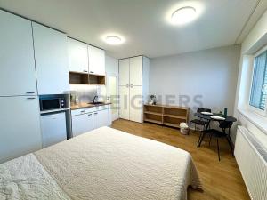 Pronájem bytu 1+kk, Brno, Cejl, 33 m2