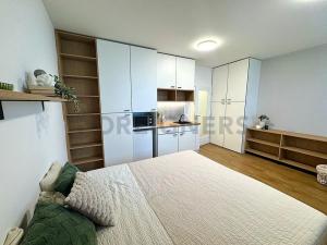 Pronájem bytu 1+kk, Brno, Cejl, 33 m2