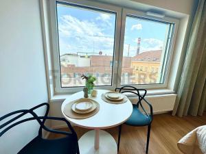 Pronájem bytu 1+kk, Brno, Cejl, 30 m2