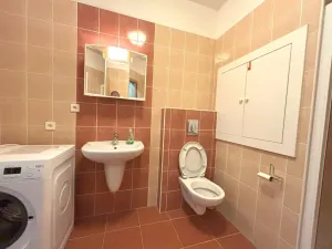 Pronájem bytu 1+kk, Plzeň - Jižní Předměstí, Goldscheiderova, 30 m2