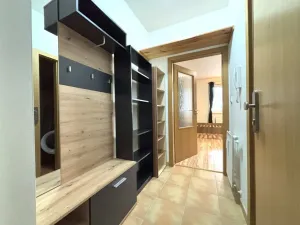 Pronájem bytu 1+kk, Plzeň - Jižní Předměstí, Goldscheiderova, 30 m2