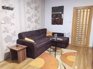 Pronájem bytu 1+kk, Praha - Košíře, Nepomucká, 40 m2