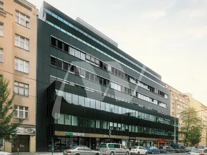 Pronájem kanceláře, Praha - Karlín, Sokolovská, 342 m2