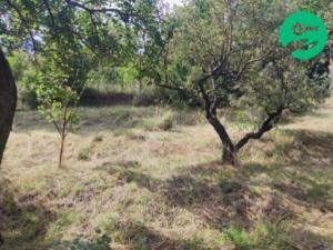 Prodej zahrady, Miroslav, Husova, 632 m2