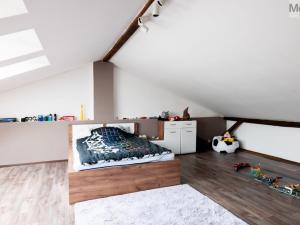 Prodej obchodního prostoru, Litvínov - Horní Litvínov, Smetanova, 359 m2