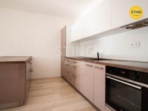 Pronájem bytu 1+kk, Jihlava, Halasova, 43 m2