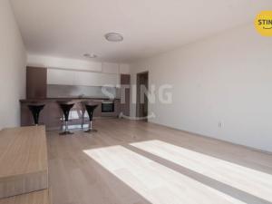 Pronájem bytu 1+kk, Jihlava, Halasova, 43 m2