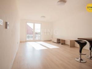 Pronájem bytu 1+kk, Jihlava, Halasova, 43 m2