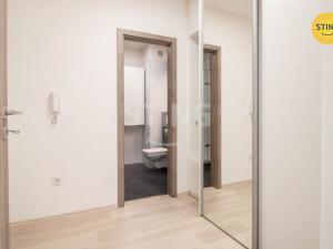 Pronájem bytu 1+kk, Jihlava, Halasova, 43 m2