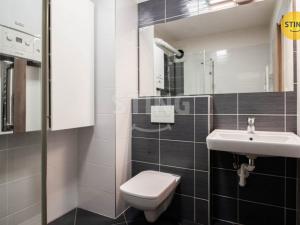 Pronájem bytu 1+kk, Jihlava, Halasova, 43 m2