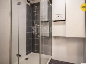 Pronájem bytu 1+kk, Jihlava, Halasova, 43 m2