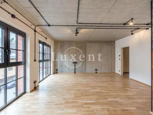 Pronájem bytu 1+kk, Praha, Pechlátova, 50 m2