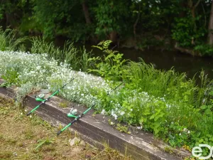 Prodej rodinného domu, Staré Ždánice, 89 m2