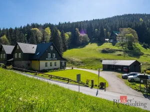 Prodej ubytování, Malá Úpa - Dolní Malá Úpa, 528 m2