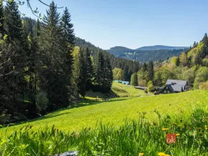 Prodej ubytování, Malá Úpa - Dolní Malá Úpa, 528 m2