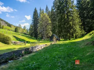 Prodej ubytování, Malá Úpa - Dolní Malá Úpa, 528 m2