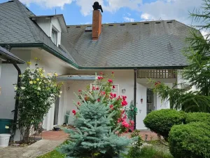 Prodej rodinného domu, Kyselka - Radošov, 263 m2