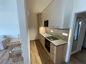 Pronájem bytu 1+kk, Jihlava, Okružní, 44 m2