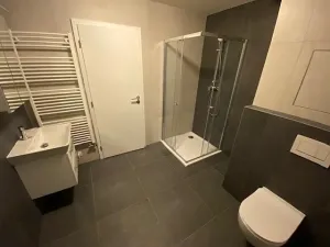Pronájem bytu 1+kk, Jihlava, Okružní, 44 m2