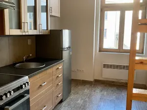 Pronájem bytu 1+kk, Praha - Košíře, Vrchlického, 20 m2