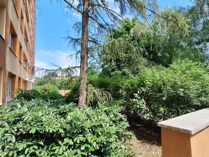 Prodej bytu 3+1, Praha - Podolí, Kaplická, 65 m2