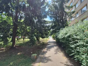 Prodej bytu 3+1, Praha - Podolí, Kaplická, 65 m2