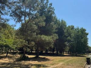 Prodej bytu 1+kk, Montesilvano,Itálie, 30 m2