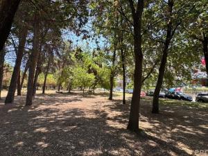 Prodej bytu 1+kk, Montesilvano,Itálie, 30 m2