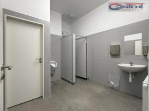 Pronájem skladu, Zdice - Černín, 1000 m2