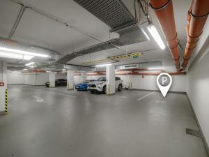 Pronájem bytu 2+kk, Plzeň, Šafaříkovy sady, 59 m2