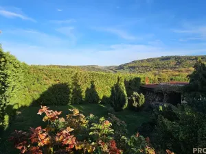Prodej rodinného domu, Králův Dvůr - Křižatky, 240 m2