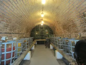 Prodej rodinného domu, Bzenec, Slunečná, 420 m2