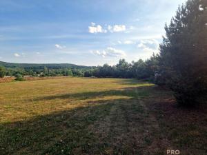 Prodej komerčního pozemku, Bakov nad Jizerou, 39262 m2