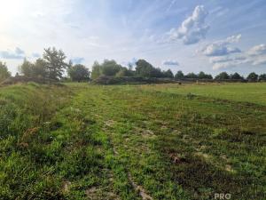 Prodej komerčního pozemku, Bakov nad Jizerou, 39262 m2