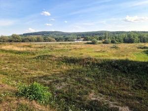Prodej komerčního pozemku, Bakov nad Jizerou, 39262 m2