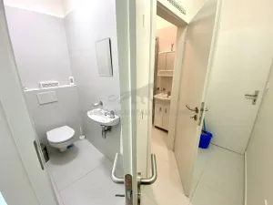 Pronájem bytu 1+1, Praha - Modřany, Dolnocholupická, 50 m2