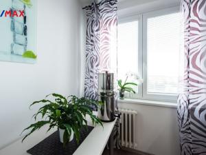 Prodej bytu 3+1, Brno - Líšeň, Horníkova, 73 m2