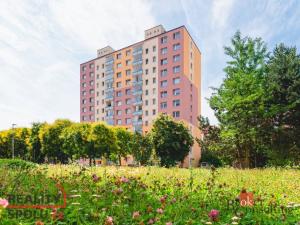 Prodej bytu 1+kk, Plzeň - Bolevec, Kralovická, 32 m2