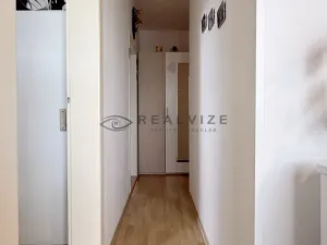 Prodej bytu 2+1, České Budějovice, Netolická, 48 m2