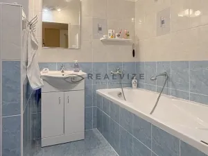Prodej bytu 2+1, České Budějovice, Netolická, 48 m2
