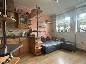Pronájem bytu 2+kk, České Budějovice, Rudolfovská tř., 35 m2