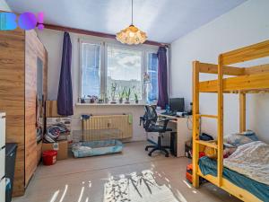 Prodej bytu 4+1, Paskov, Papírenská, 97 m2
