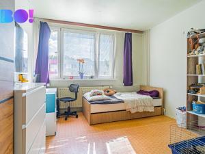 Prodej bytu 4+1, Paskov, Papírenská, 97 m2