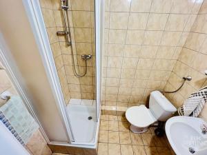 Prodej bytu 2+kk, Králův Dvůr, Plzeňská, 33 m2