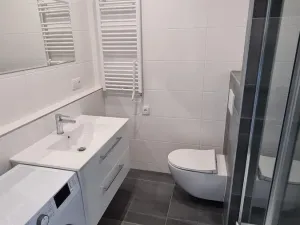 Pronájem bytu 1+1, Ostrava - Moravská Ostrava, Gen. Píky, 45 m2