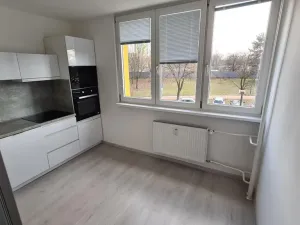 Pronájem bytu 1+1, Ostrava - Moravská Ostrava, Gen. Píky, 45 m2