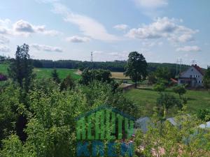 Prodej rodinného domu, Nečín, 250 m2