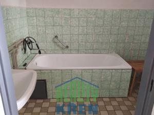Prodej rodinného domu, Nečín, 250 m2